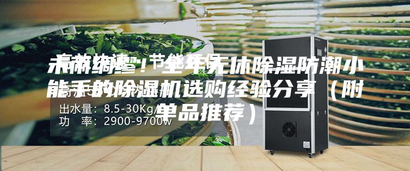 未雨綢繆！全年無休除濕防潮小能手的除濕機(jī)選購(gòu)經(jīng)驗(yàn)分享（附單品推薦）