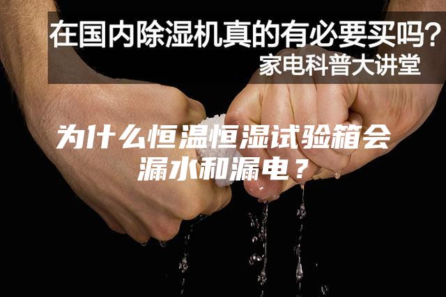 為什么恒溫恒濕試驗(yàn)箱會(huì)漏水和漏電？