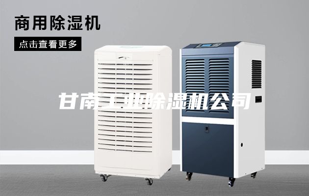 甘南工業(yè)除濕機公司