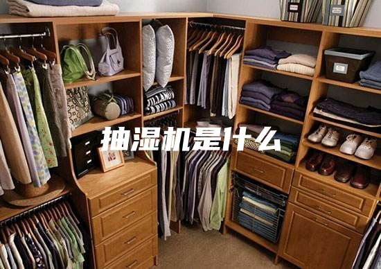 抽濕機(jī)是什么