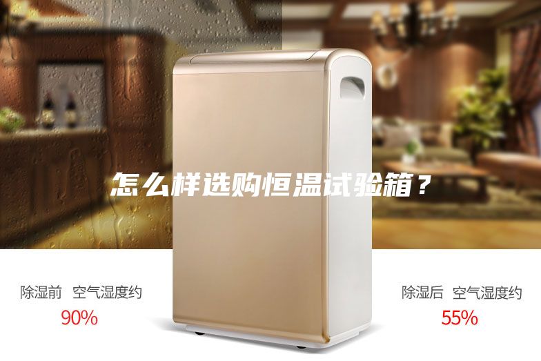 怎么樣選購恒溫試驗箱？