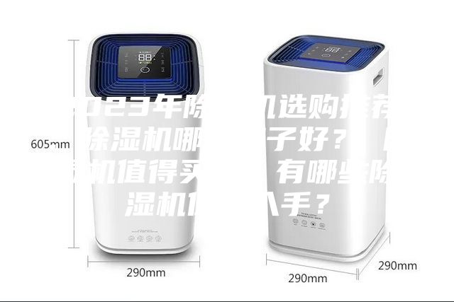 2023年除濕機選購推薦：除濕機哪個牌子好？ 除濕機值得買嗎？有哪些除濕機值得入手？