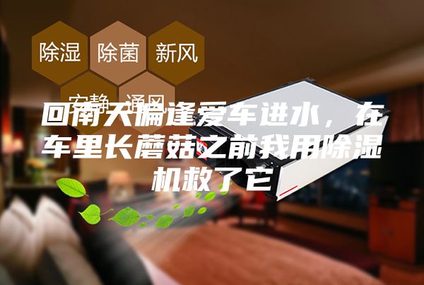 回南天偏逢愛車進(jìn)水，在車?yán)镩L蘑菇之前我用除濕機(jī)救了它