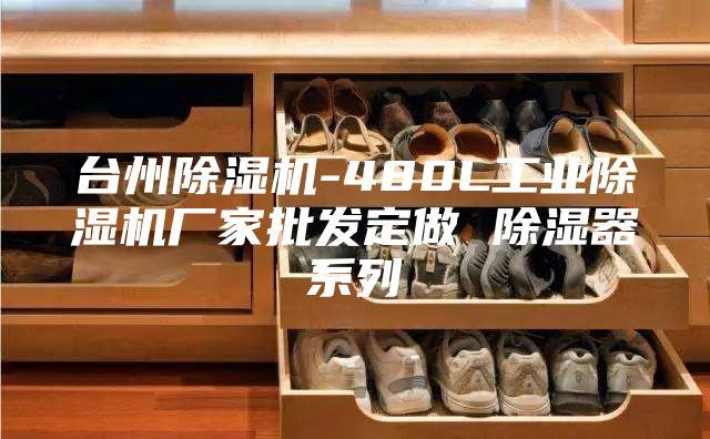 臺(tái)州除濕機(jī)-480L工業(yè)除濕機(jī)廠家批發(fā)定做 除濕器系列