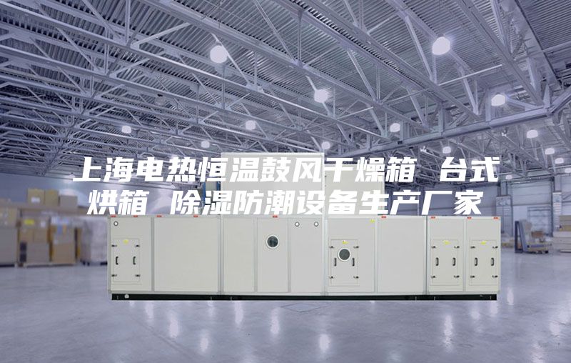 上海電熱恒溫鼓風(fēng)干燥箱 臺式烘箱 除濕防潮設(shè)備生產(chǎn)廠家