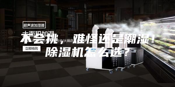 不會挑，難怪還是潮濕！除濕機怎么選？