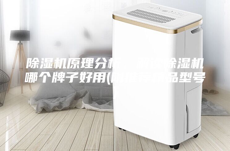 除濕機(jī)原理分析，解讀除濕機(jī)哪個(gè)牌子好用(附推薦精品型號(hào))