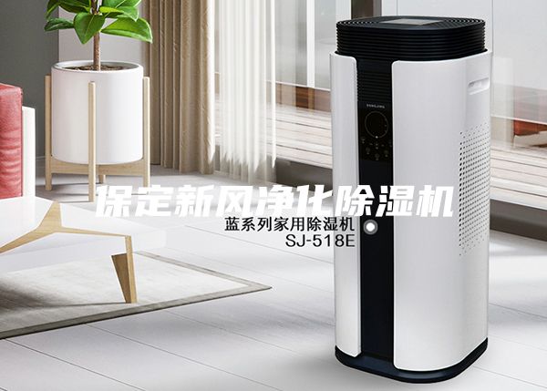 保定新風(fēng)凈化除濕機(jī)