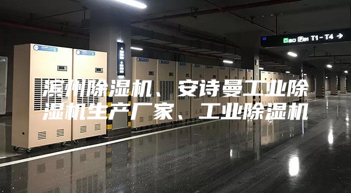 濱州除濕機(jī)、安詩(shī)曼工業(yè)除濕機(jī)生產(chǎn)廠家、工業(yè)除濕機(jī)