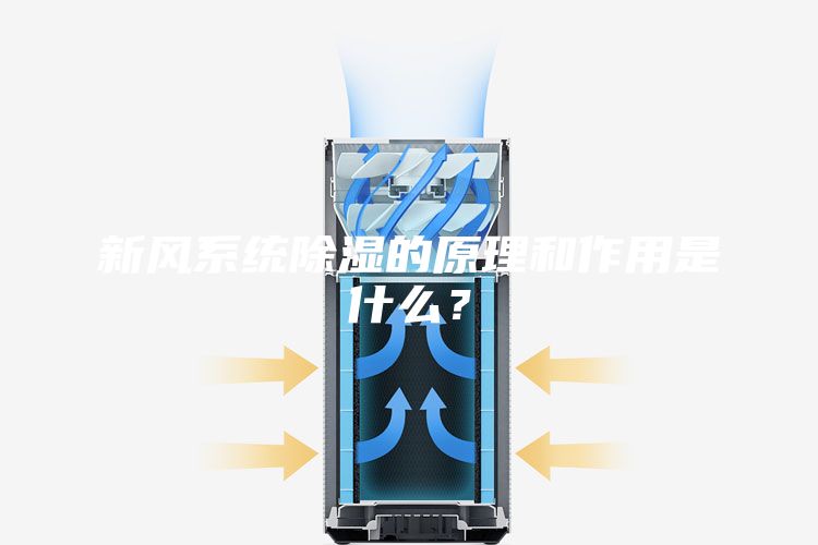 新風(fēng)系統(tǒng)除濕的原理和作用是什么？