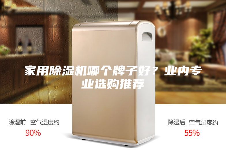 家用除濕機哪個牌子好？業(yè)內(nèi)專業(yè)選購?fù)扑]
