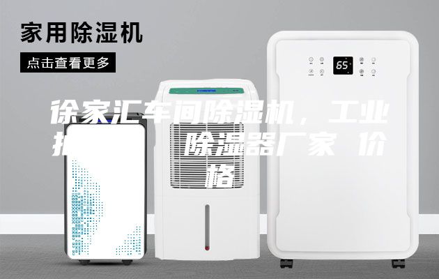 徐家匯車間除濕機，工業(yè)抽濕機  除濕器廠家 價格