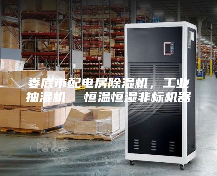 婁底市配電房除濕機(jī)，工業(yè)抽濕機(jī)  恒溫恒濕非標(biāo)機(jī)器