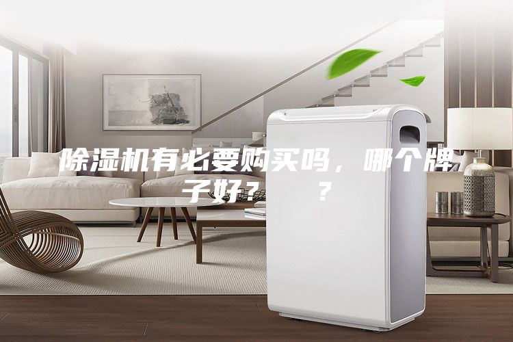 除濕機有必要購買嗎，哪個牌子好？  ？