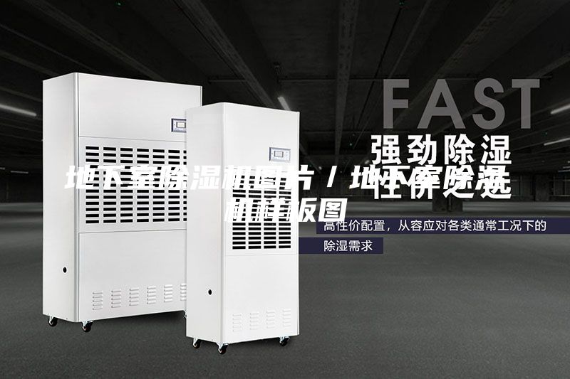 地下室除濕機(jī)圖片／地下室除濕機(jī)樣板圖