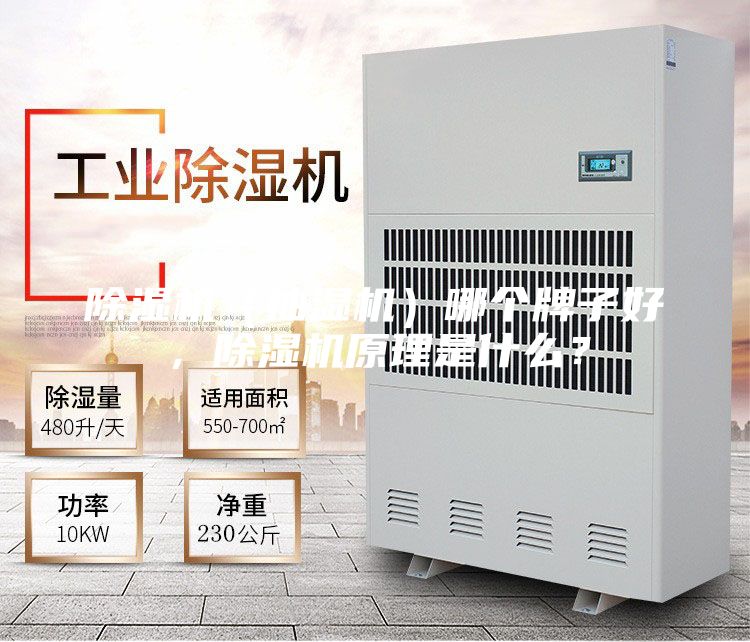 除濕機(jī)（抽濕機(jī)）哪個(gè)牌子好，除濕機(jī)原理是什么？