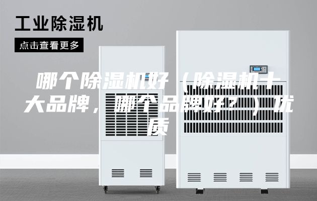 哪個(gè)除濕機(jī)好（除濕機(jī)十大品牌，哪個(gè)品牌好？）優(yōu)質(zhì)