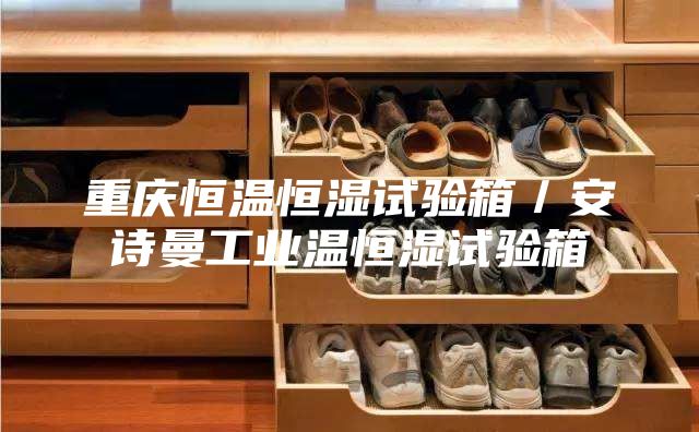 重慶恒溫恒濕試驗(yàn)箱／安詩(shī)曼工業(yè)溫恒濕試驗(yàn)箱