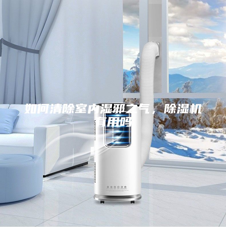 如何清除室內(nèi)濕邪之氣，除濕機(jī)有用嗎