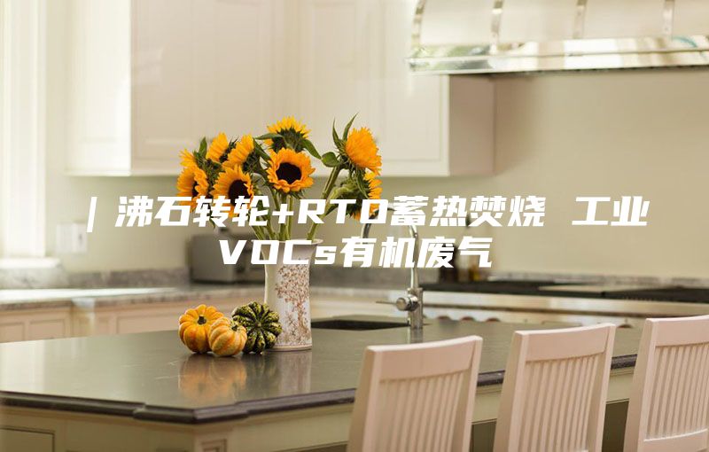 ｜沸石轉輪+RTO蓄熱焚燒 工業(yè)VOCs有機廢氣