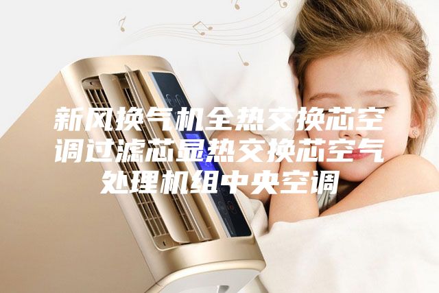 新風(fēng)換氣機(jī)全熱交換芯空調(diào)過(guò)濾芯顯熱交換芯空氣處理機(jī)組中央空調(diào)