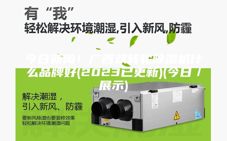 今日新聞！廣西雙轉(zhuǎn)輪除濕機(jī)什么品牌好(2023已更新)(今日／展示)