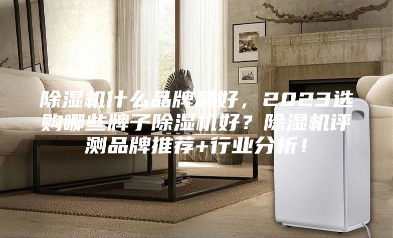 除濕機(jī)什么品牌最好，2023選購哪些牌子除濕機(jī)好？除濕機(jī)評測品牌推薦+行業(yè)分析！