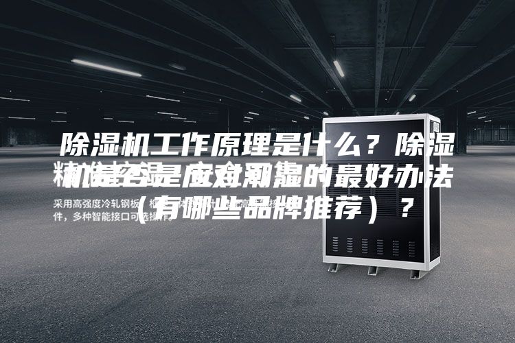 除濕機(jī)工作原理是什么？除濕機(jī)是否是應(yīng)對(duì)潮濕的最好辦法（有哪些品牌推薦）？