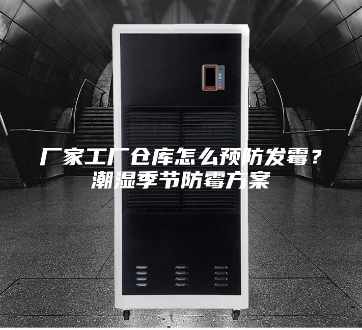 廠家工廠倉(cāng)庫(kù)怎么預(yù)防發(fā)霉？潮濕季節(jié)防霉方案