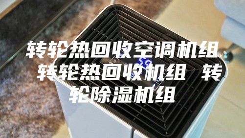 轉(zhuǎn)輪熱回收空調(diào)機組 轉(zhuǎn)輪熱回收機組 轉(zhuǎn)輪除濕機組