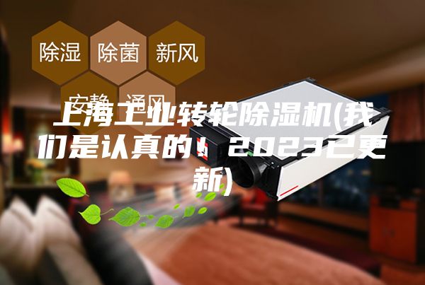 上海工業(yè)轉(zhuǎn)輪除濕機(jī)(我們是認(rèn)真的！2023已更新)