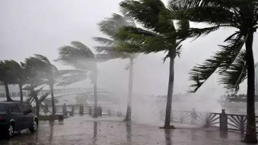 8月臺風(fēng)雨即將來，除濕機還得用起來