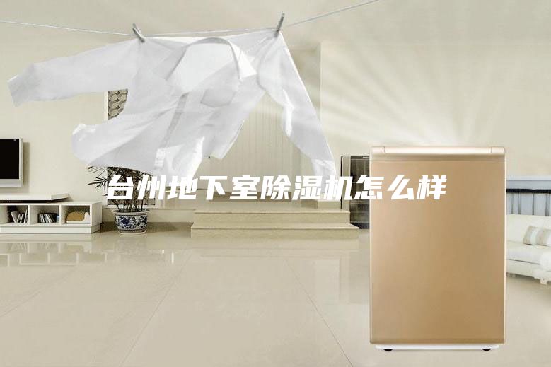 臺(tái)州地下室除濕機(jī)怎么樣