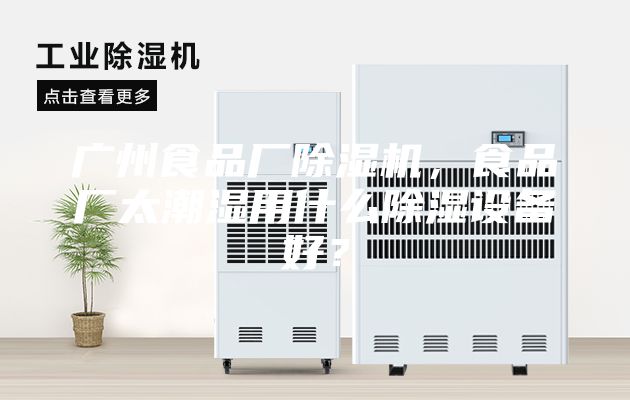 廣州食品廠除濕機(jī)，食品廠太潮濕用什么除濕設(shè)備好？
