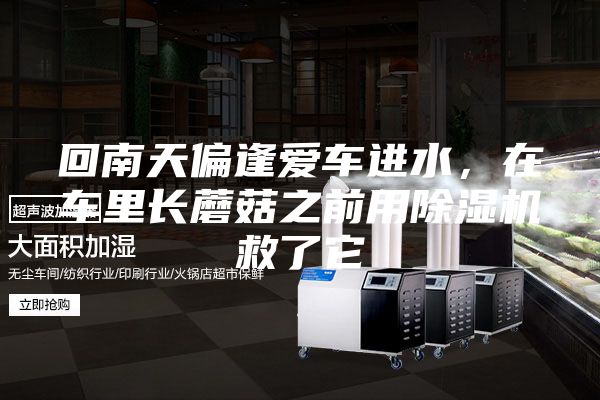 回南天偏逢愛車進水，在車?yán)镩L蘑菇之前用除濕機救了它