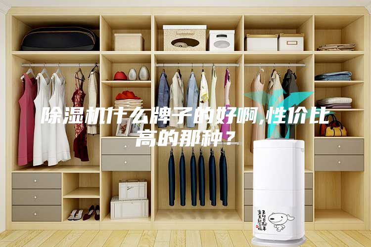 除濕機(jī)什么牌子的好啊,性價比高的那種？