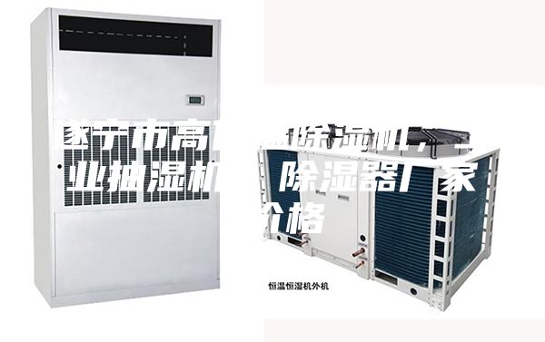 遂寧市高低溫除濕機，工業(yè)抽濕機  除濕器廠家 價格