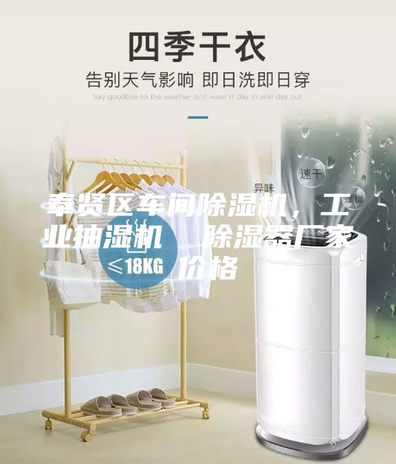 奉賢區(qū)車間除濕機(jī)，工業(yè)抽濕機(jī)  除濕器廠家 價格