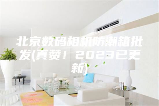 北京數(shù)碼相機(jī)防潮箱批發(fā)(真贊！2023已更新)