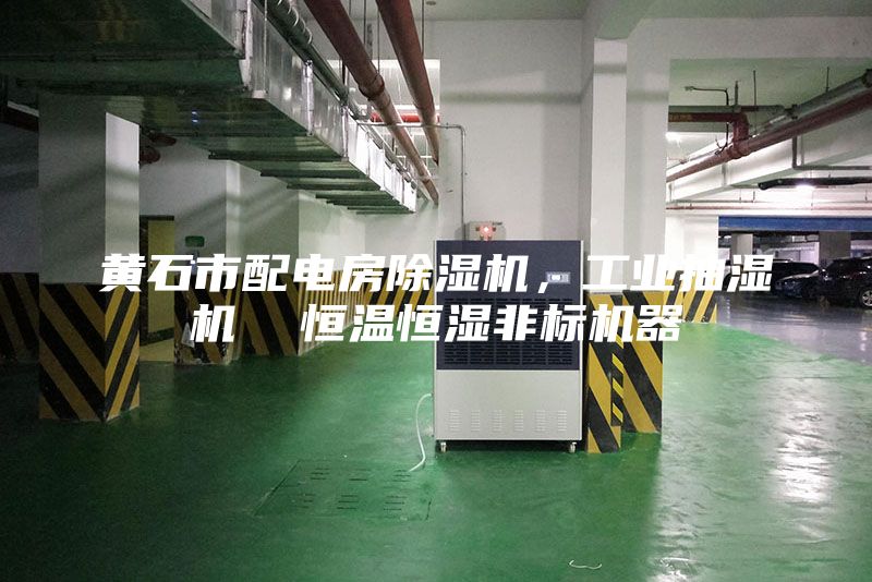 黃石市配電房除濕機，工業(yè)抽濕機  恒溫恒濕非標機器