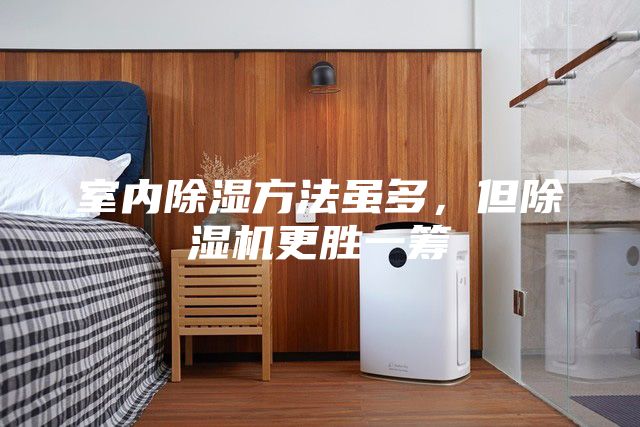 室內(nèi)除濕方法雖多，但除濕機(jī)更勝一籌