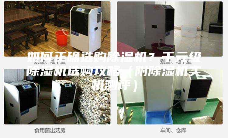 如何正確選購(gòu)除濕機(jī)？千元級(jí)除濕機(jī)選購(gòu)攻略（附除濕機(jī)實(shí)機(jī)測(cè)評(píng)）