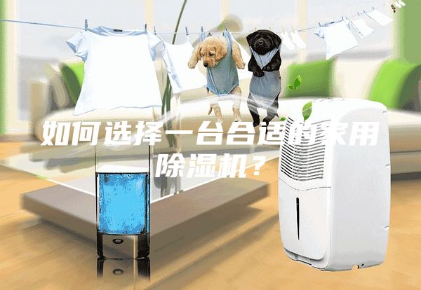 如何選擇一臺(tái)合適的家用除濕機(jī)？