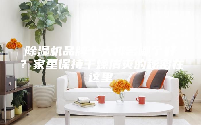 除濕機品牌十大排名哪個好？家里保持干燥清爽的秘密在這里