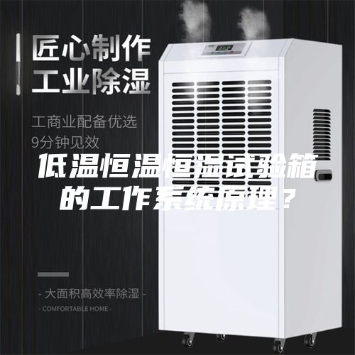 低溫恒溫恒濕試驗箱的工作系統(tǒng)原理？