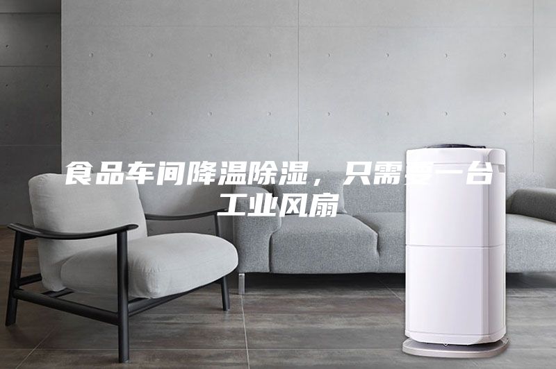 食品車間降溫除濕，只需要一臺(tái)工業(yè)風(fēng)扇