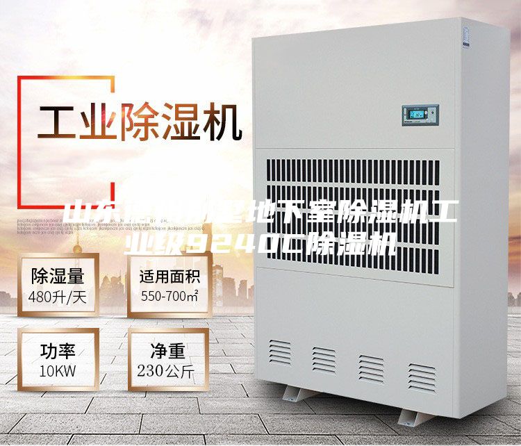 山東德州別墅地下室除濕機工業(yè)級9240C除濕機