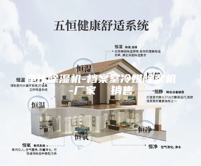 凈化除濕機(jī)-檔案室冷媒除濕機(jī)-廠家  銷售