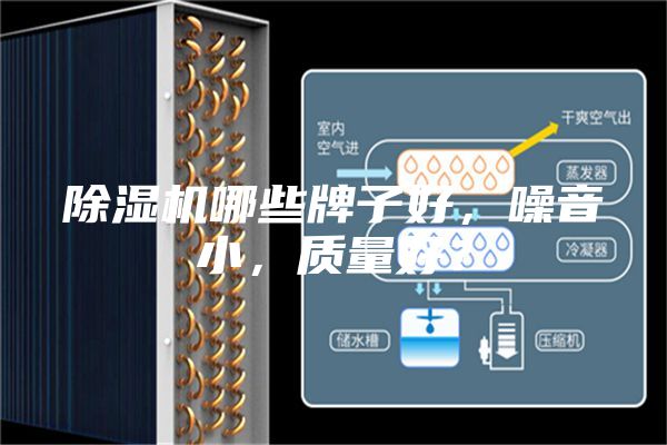除濕機哪些牌子好，噪音小，質量好？