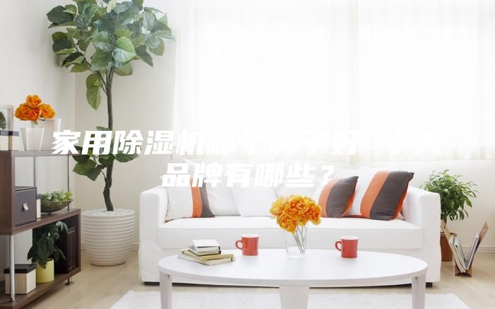 家用除濕機(jī)哪個(gè)牌子好 十大品牌有哪些？